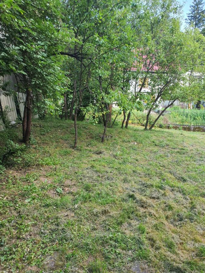 Apartman Runolist Delnice Extérieur photo