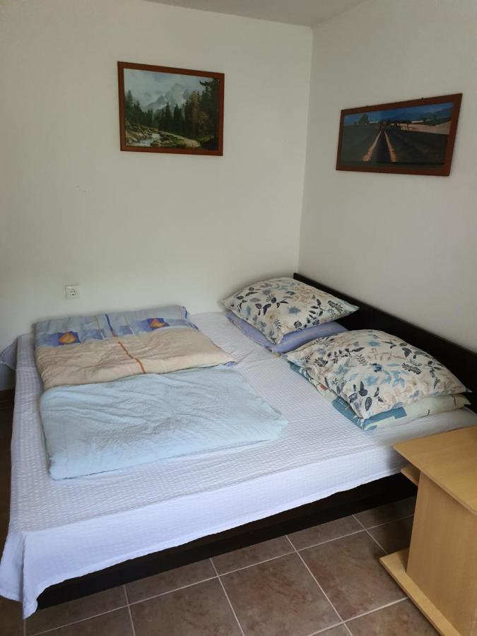 Apartman Runolist Delnice Extérieur photo