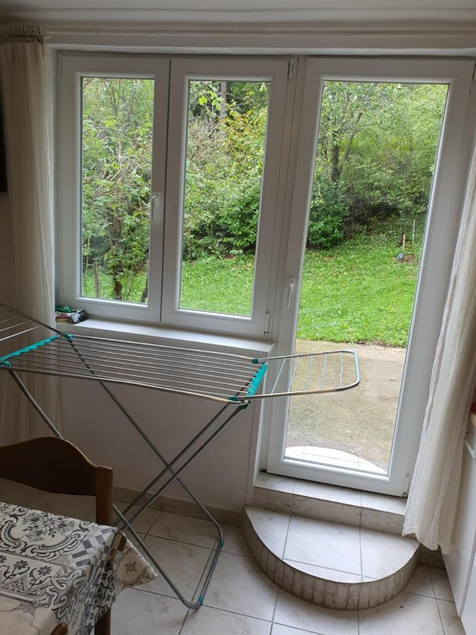 Apartman Runolist Delnice Extérieur photo
