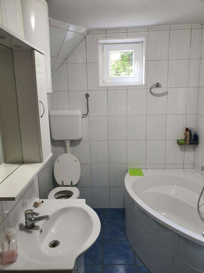 Apartman Runolist Delnice Extérieur photo